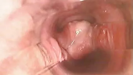 Un paio di conigli siciliane troie energici fanno un porno fatto in casa. .